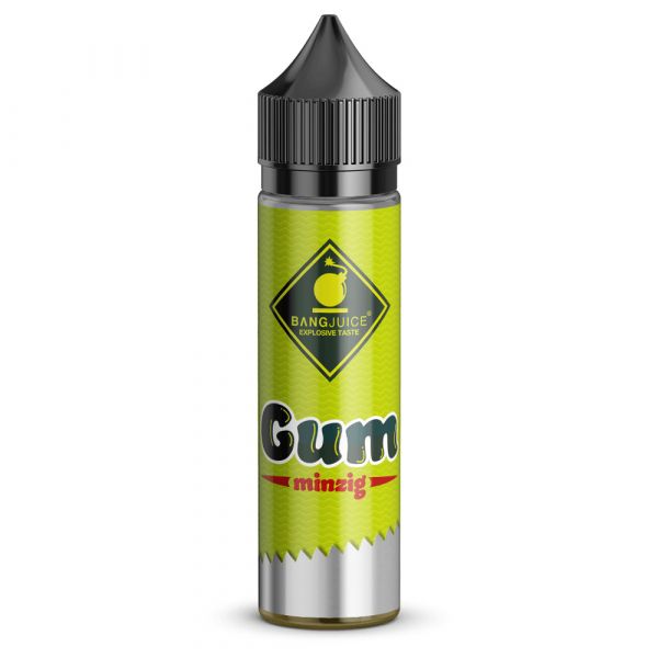 Bang Juice Gum - minzig, Shake &amp; Vape Aroma, 20ml